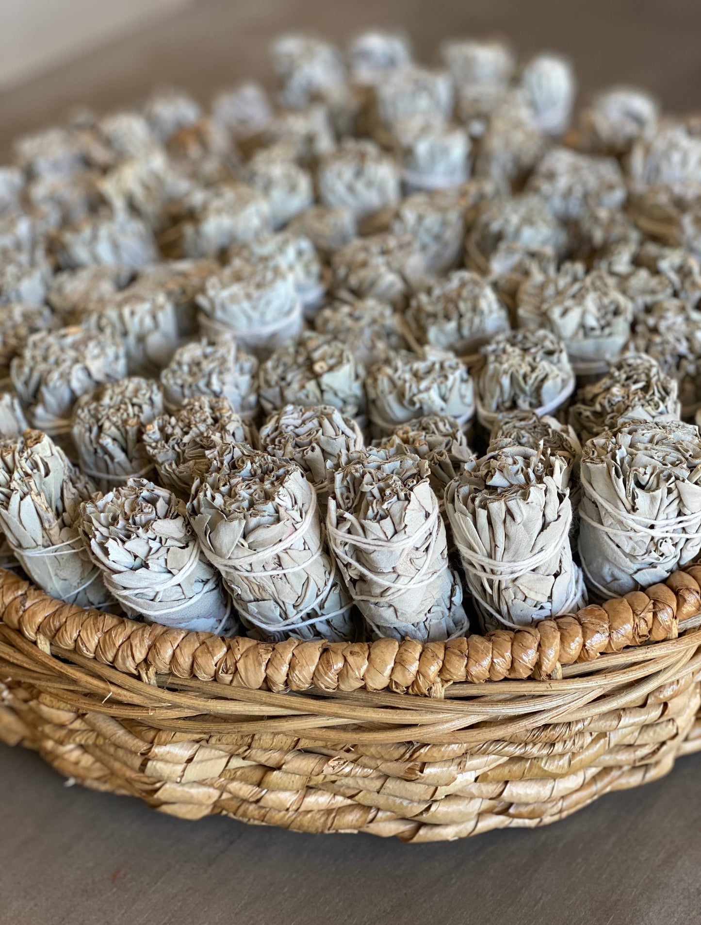 White Sage Smudge Sticks in Bulk