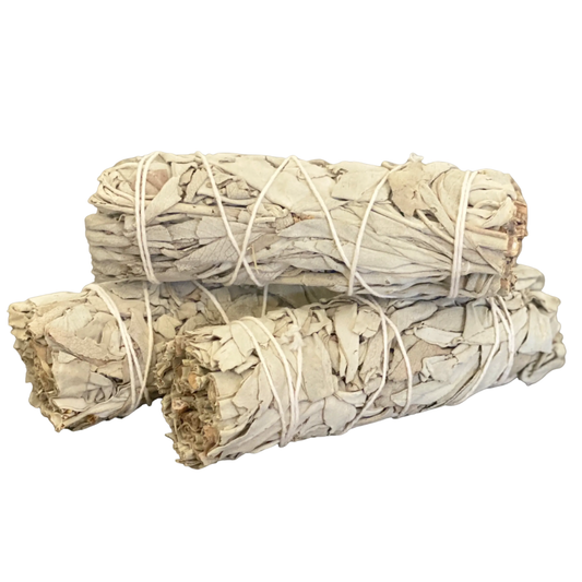 White Sage Smudge Sticks in Bulk