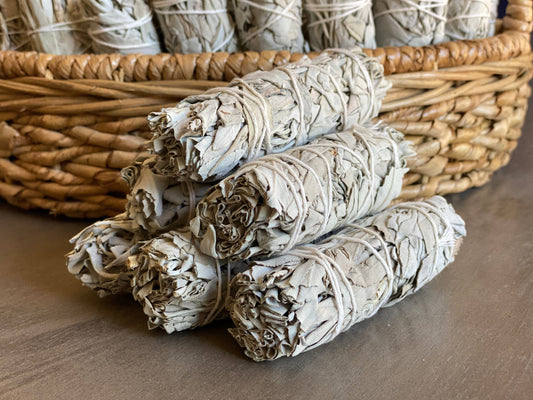 White Sage Smudge Sticks in Bulk
